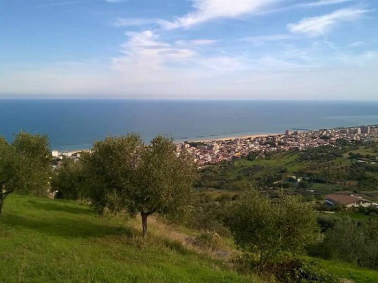 EurCamping Roseto  foto 4