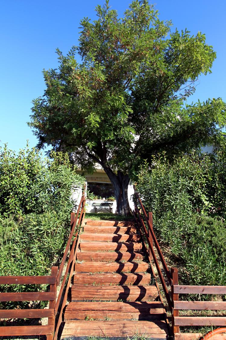 FATTORIA COLLE LUCA foto 7