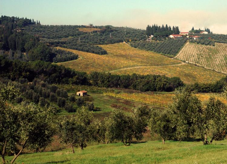 Azienda Agricola Inalbi foto 0