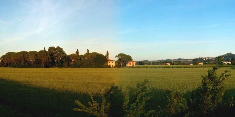 Fattoria di Scaletta foto 0