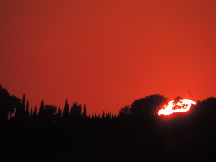  BIO AGRITURISMO IL QUARTO foto 3
