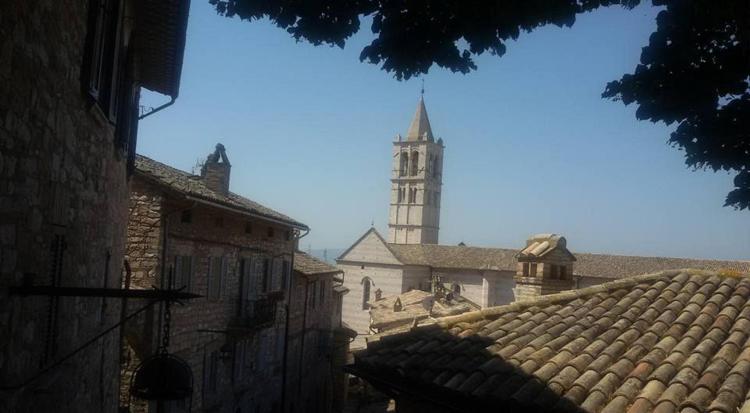 La viola B&B foto 5